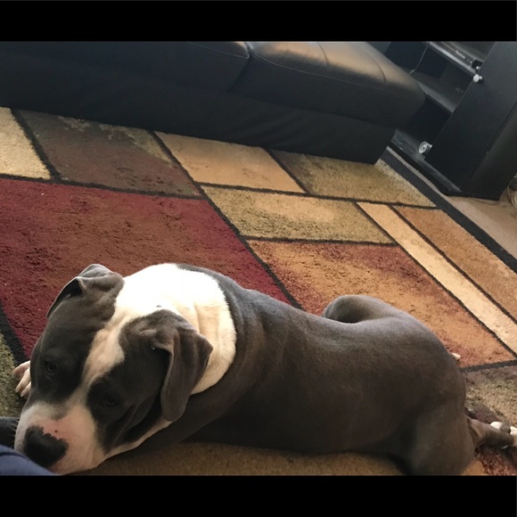 Meet your Posher, Mario - Picture 1 of 1